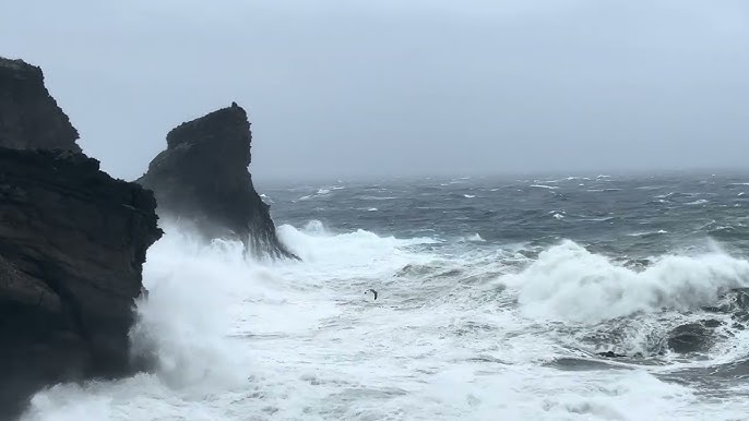 Ciclone Harry: Danni per 7 Milioni e Stato di Emergenza | 𝐑𝐀𝐃𝐈𝐎 ® 𝐏𝐀𝐍𝐓𝐄𝐋𝐋𝐄𝐑𝐈𝐀